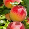 Комплект 5шт / Персик Снакр: фото и описание